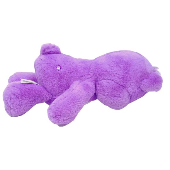 Care Bears Share Bear Plush Purple Violet Heart - Picture 6 of 11